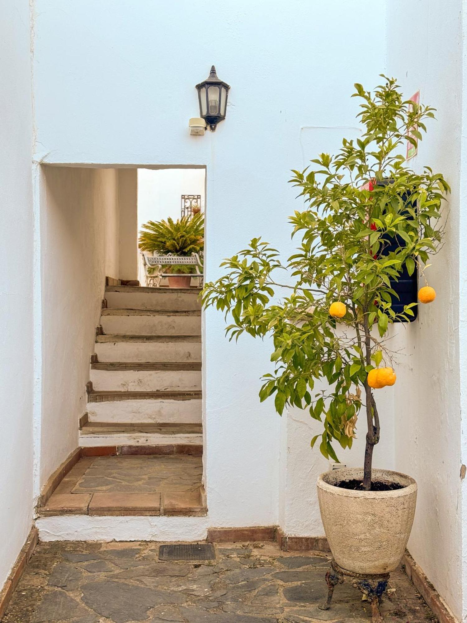 Hotel Cortijo Las Piletas Ronda Ngoại thất bức ảnh